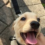 야 ㄹㅇ 잠 직빵인 <b>asmr</b> 좀