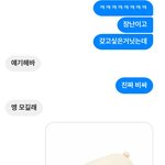 [NCT] 약간자랑ㅅㄷ)남사친이 도영이인형사줌