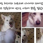 나 남들에 비해 멘탈 좀 쎈 것 같기도해