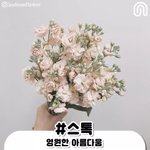 [드루와] <b>sns</b>스타 시켜먹음ㅋㅋㅋ