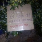 [드루와] 얘들아 나 등빨 진심 개좋은데