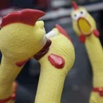 [댓글부탁해] 혹시 예전에 반수하는 한의대생 수능 후기 <b>글</b> 본 <b>칭</b>구칭긔있니
