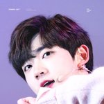 보니오빠 진짜로 오빠 다됐네ㅠ