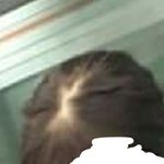 얘들아 나 정수리 <b>탈모</b>같아..?