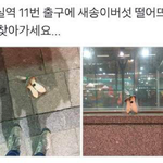 [드루와] 잠실역 11번 출구 새송이 <b>버섯</b> 찾아가세요