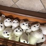 내 <b>폰</b> 개미쳤나<b>봄</b> ㅅㅂ ㅋㅋㅋㅋㅋㅋ