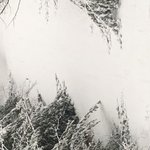 [조언부탁해] 돈도 없는데 패딩 <b>사달</b>라는거 무리지???