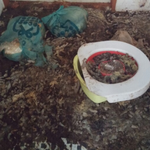 <b>일당</b> 60만원 알바 썰 (사진)