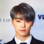 [세븐틴] <b>디노</b>머리 찰떡