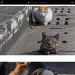 [잘자] 얘드라잘자