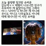 짝남이 베푸는 친절은 그냥 <b>호의</b>지?