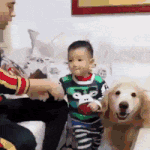 [모두드루와] 애기 혼내지말라고 말리는 왕<b>절미</b>