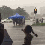 [댓글부탁해] <b>폭우</b>엔 천막이지.gif