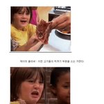 [모두드루와] 맥<b>너겟</b>의 진실