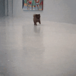 <b>보호</b> 본능 폭발시키는 댕댕이
