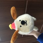 [EXO] 첸인형이 <b>유행</b>이얀?