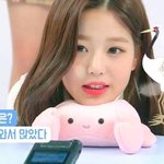 <b>태몽</b>이 학이었다는 아이즈원 장원영