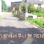 이건 태우가 좋아하는...호영이는 이거 좋아해 <b>머핀</b>!