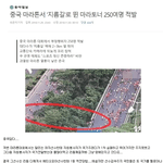 [댓글부탁해] 게임도 모자라 마라톤에도 핵쓰는 <b>대륙</b>