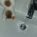 [댓글부탁해] 이건 평범한 <b>병자</b>들의 피해망상