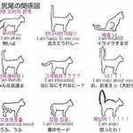 [댓글부탁해] 카톡상메 ㄱㅊ???