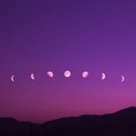 너네 학교에 이 두 <b>무리</b> 있으면 어디 <b>무리</b>에 들어갈거?