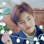 [NCT] 오늘할투표 젠쇼, 서가대!! <b>체크</b>체크