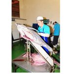 [댓글부탁해] <b>참치</b>캔 만드는 과정