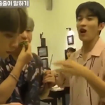 [세븐틴] 이거 먼영상인지 아는<b>캐롯</b>이