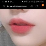 이거 쿨톤립<b>이얌</b> 웜톤립<b>이얌</b>