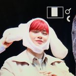 [댓글부탁해] 워너원 멤버들 최근 리즈사진올려줘 <b>저장</b>하고싶오