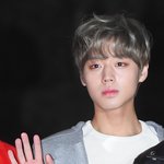 [모두드루와] 혼자보기 아까운 오늘자 뮤뱅출근길 박지훈