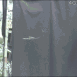[드루와] <b>중력</b>을 거스르는 아마존 뱀.gif