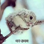 [추반] 교복에 <b>후드</b>티 일주일동안 입으면