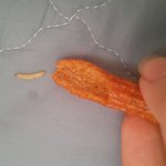 [개깊은빡침] 신당동 떡볶이 과자에서 벌레 나왔는데 어디에 문의해야...
