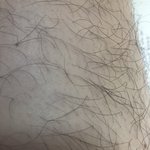 다리털 대결하자!!!!!