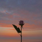 [드루와] 얘들아 승무원 얼굴 많이 중요해???