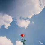 [조언부탁해] 나 쓰레기야?