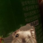 이컷 잡는데 상당히 애먹었지만