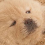 [ㅠㅠ] <b>아</b> <b>나</b> 죽을거같아 어떡해 짇ㄷ <b>아</b>