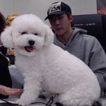 페메 <b>자동</b>저장 어케 하냐