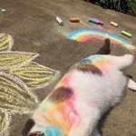 [모두드루와] Welcomeback !!!!!