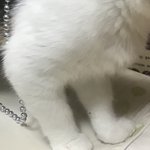 밤샛<b>더니</b> 피곤해디지겠네진짜
