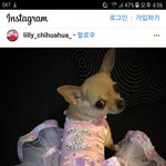 [EXO] 정병그로 폰카도 장난친거야?