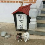 이 최대 <b>몇일</b> 안닦아봤어??
