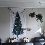 크리스마스 <b>트리</b>