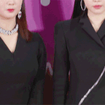 현재 시각 개빡친 팬덤