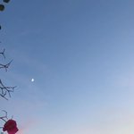 [댓글부탁해] 2019년 <b>1</b>월 <b>1</b>일에 답글 달아줄게 ㅎㅎ