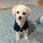 [댓글부탁해] 아이폰 <b>xs</b> 많이 무겁냐