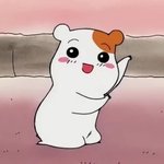 각자 자기 <b>지역</b> 사투리 말해보자!